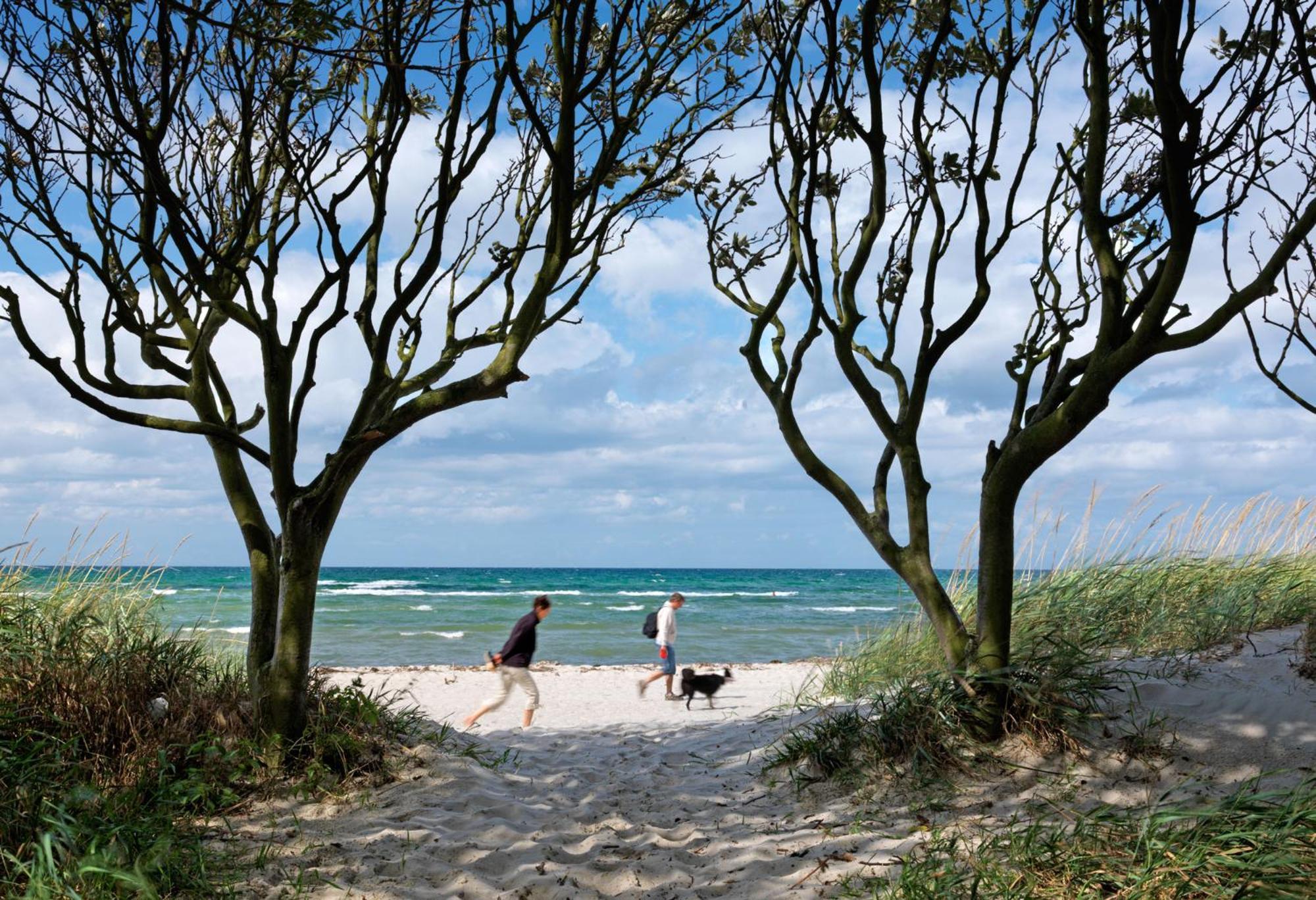 Dänische Ferienhäuser am Salzhaff Haus Pacific Poel Exterior foto